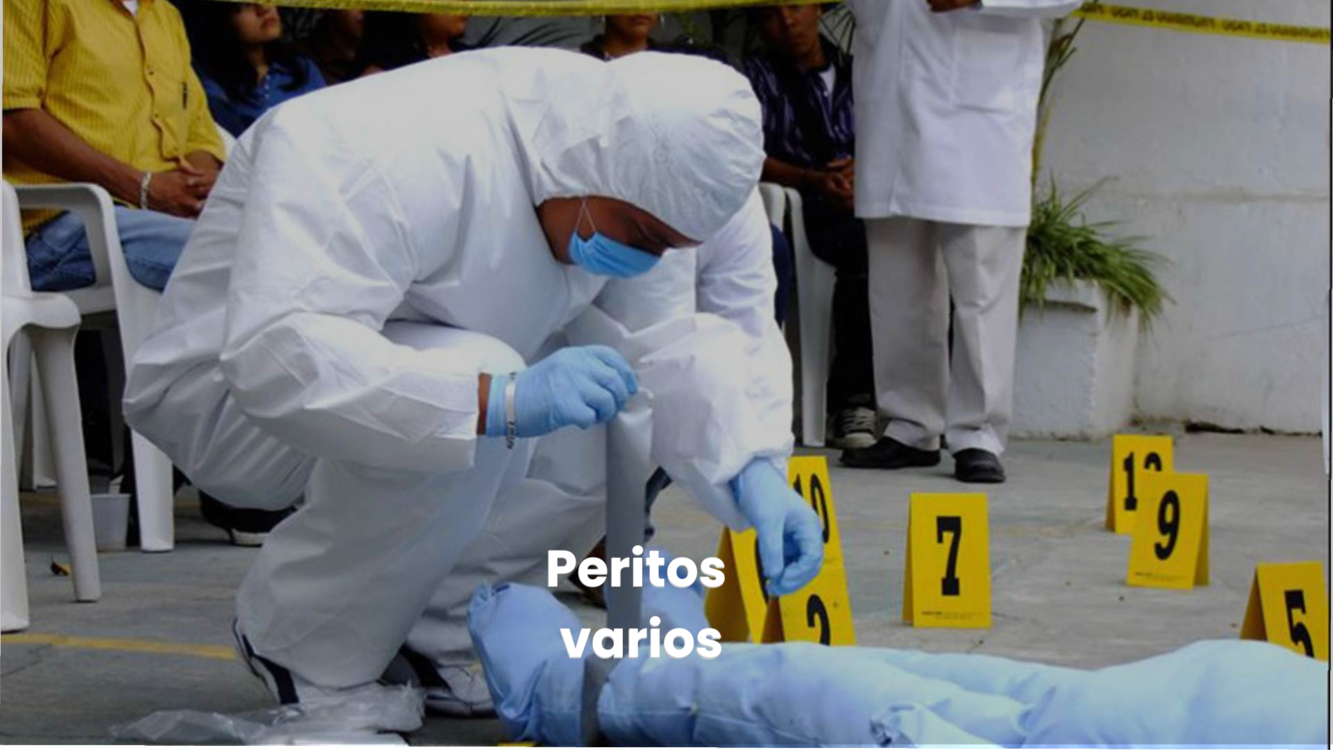 Peritos Varios